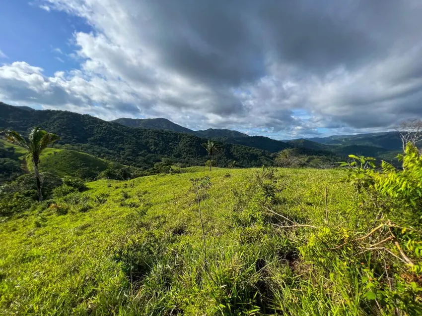 Ocean-view farm near Playa Carrillo