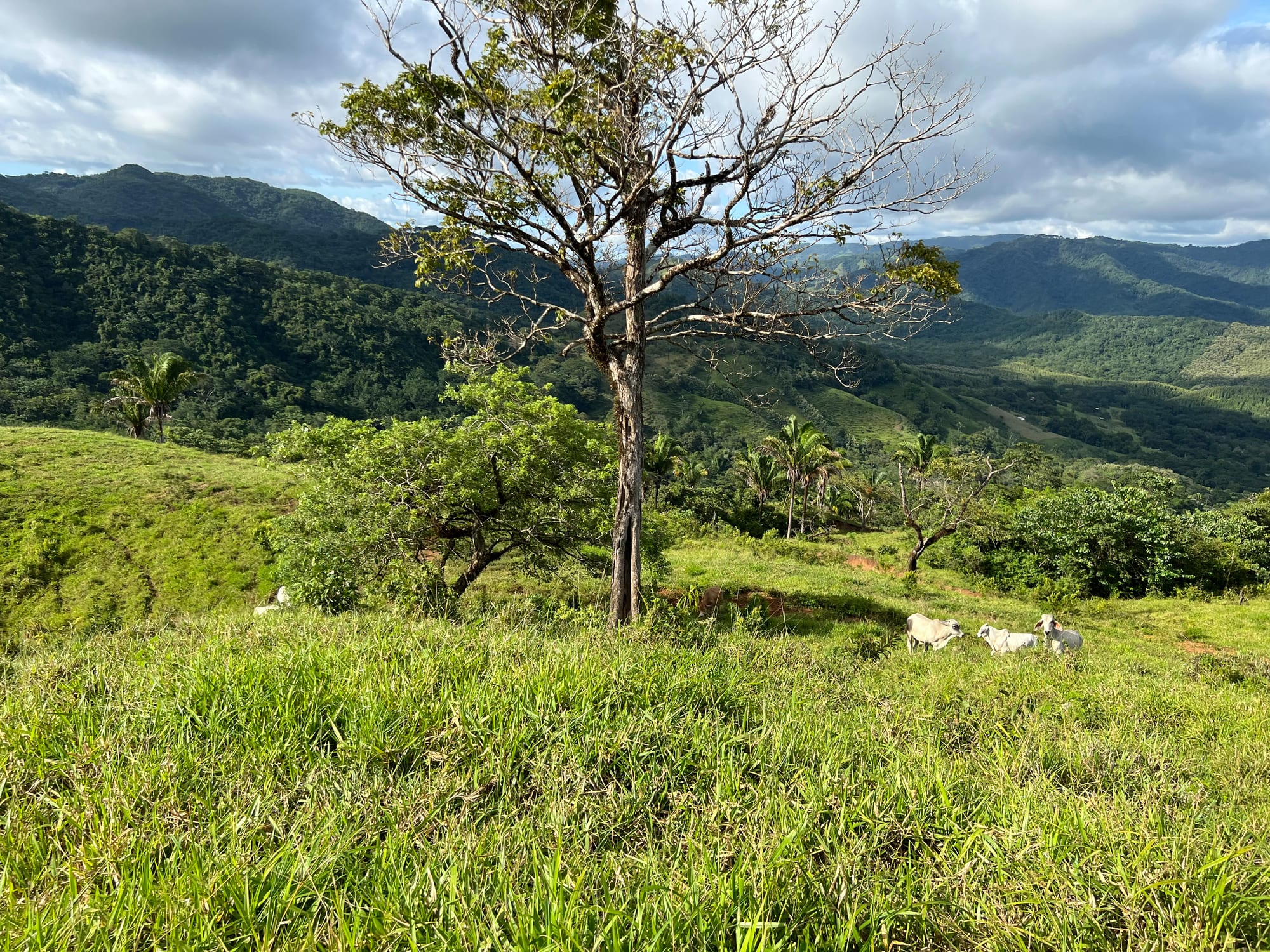 Ocean-View Farm — 7