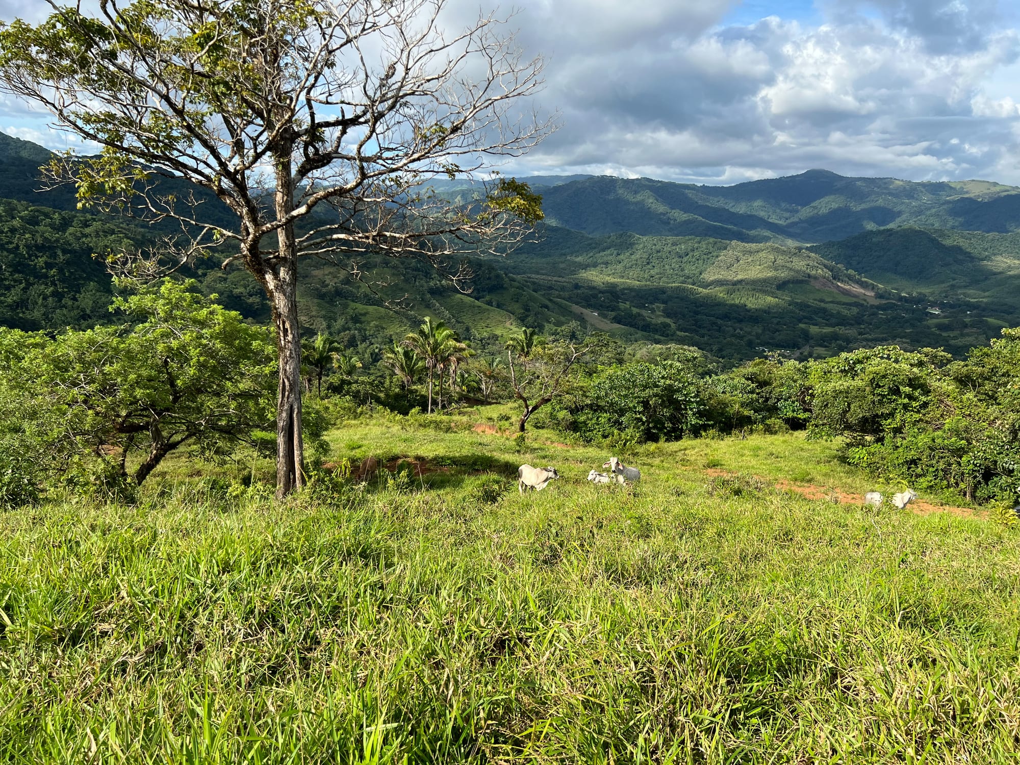 Ocean-View Farm — 8