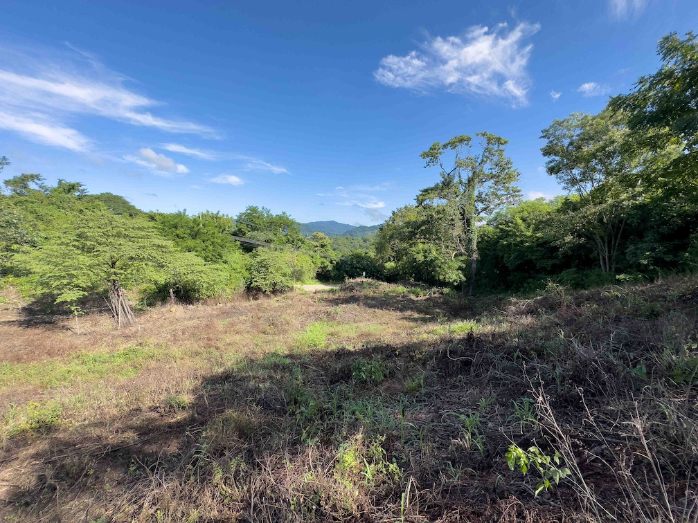 Sámara Woods Lot — Sámara