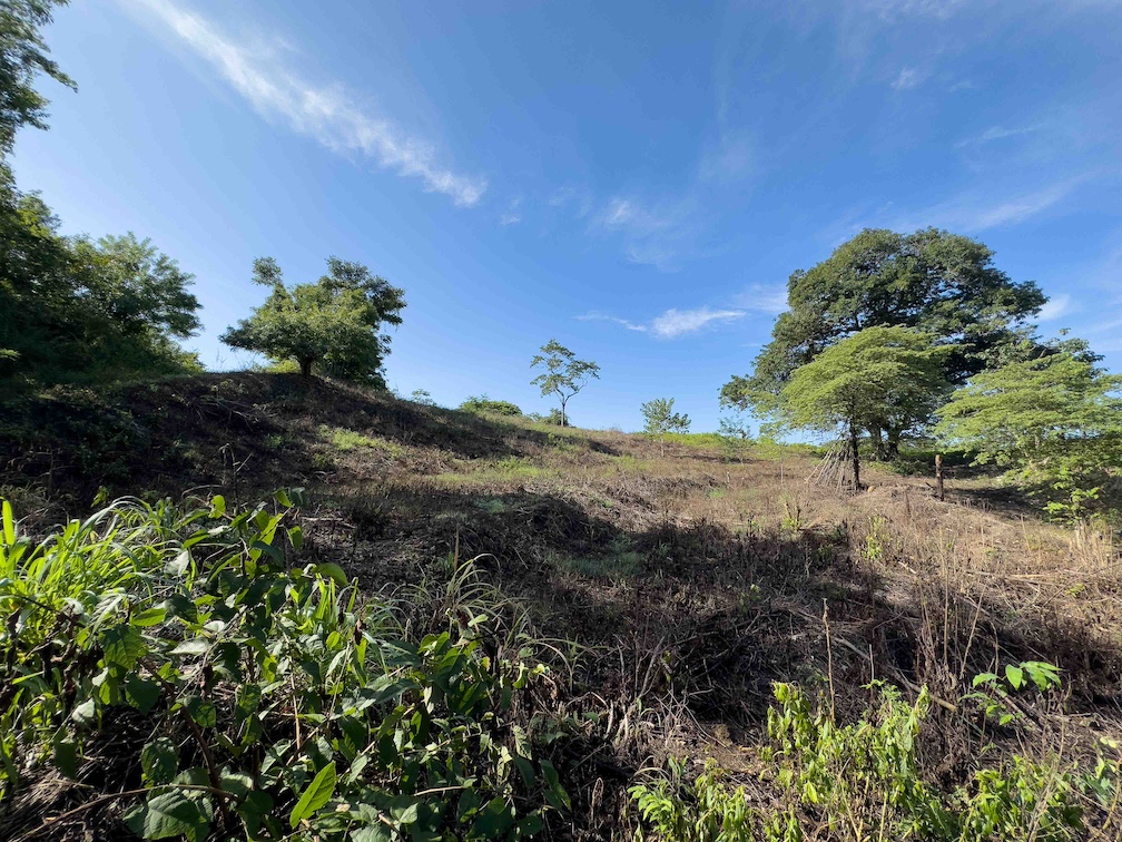 Sámara Woods Lot — 3