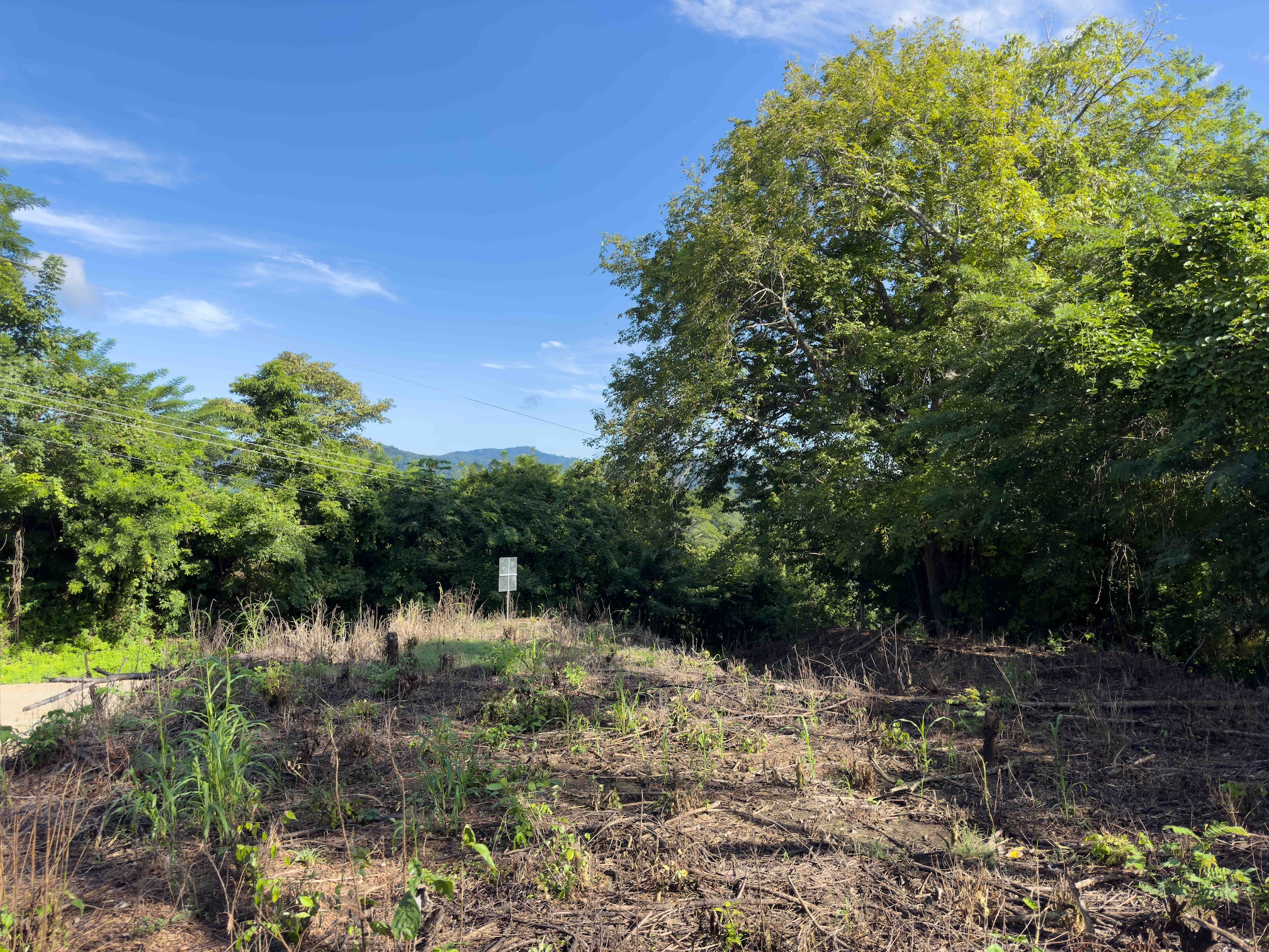 Sámara Woods Lot — 4