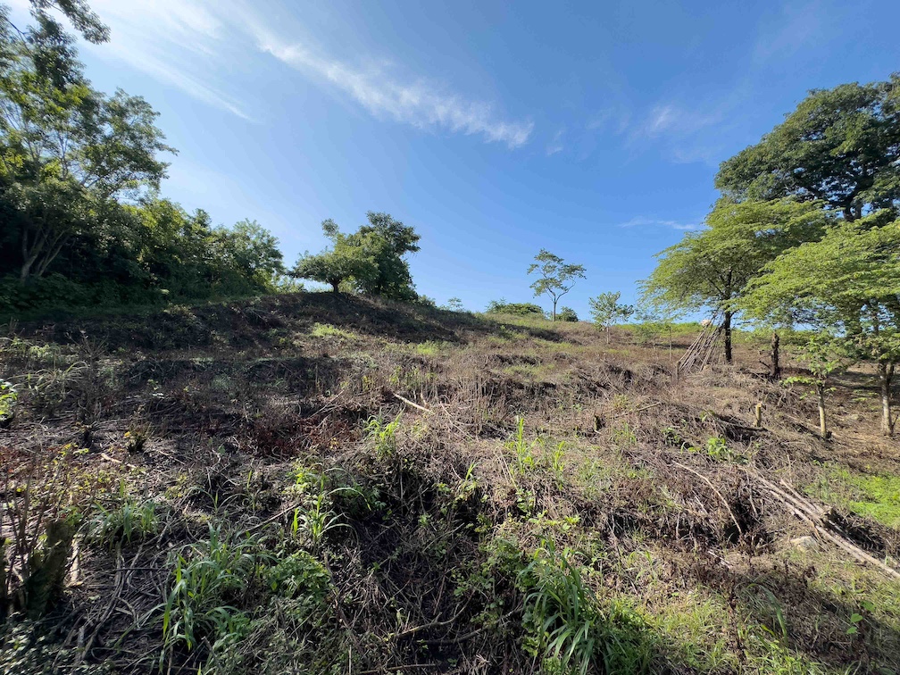 Sámara Woods Lot — 5