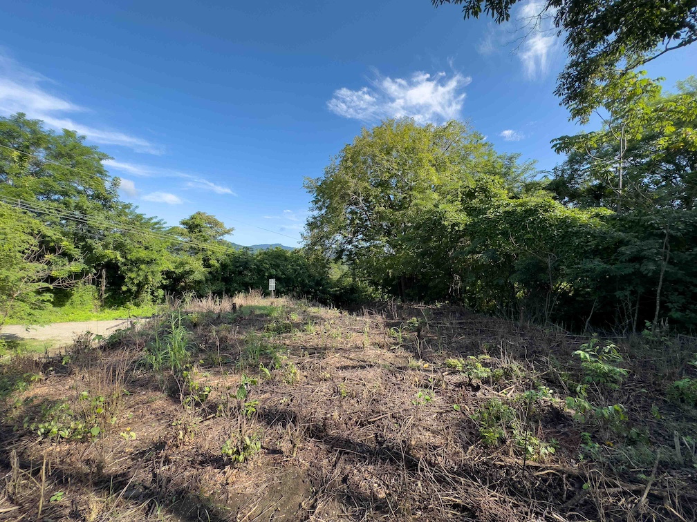 Sámara Woods Lot — 6