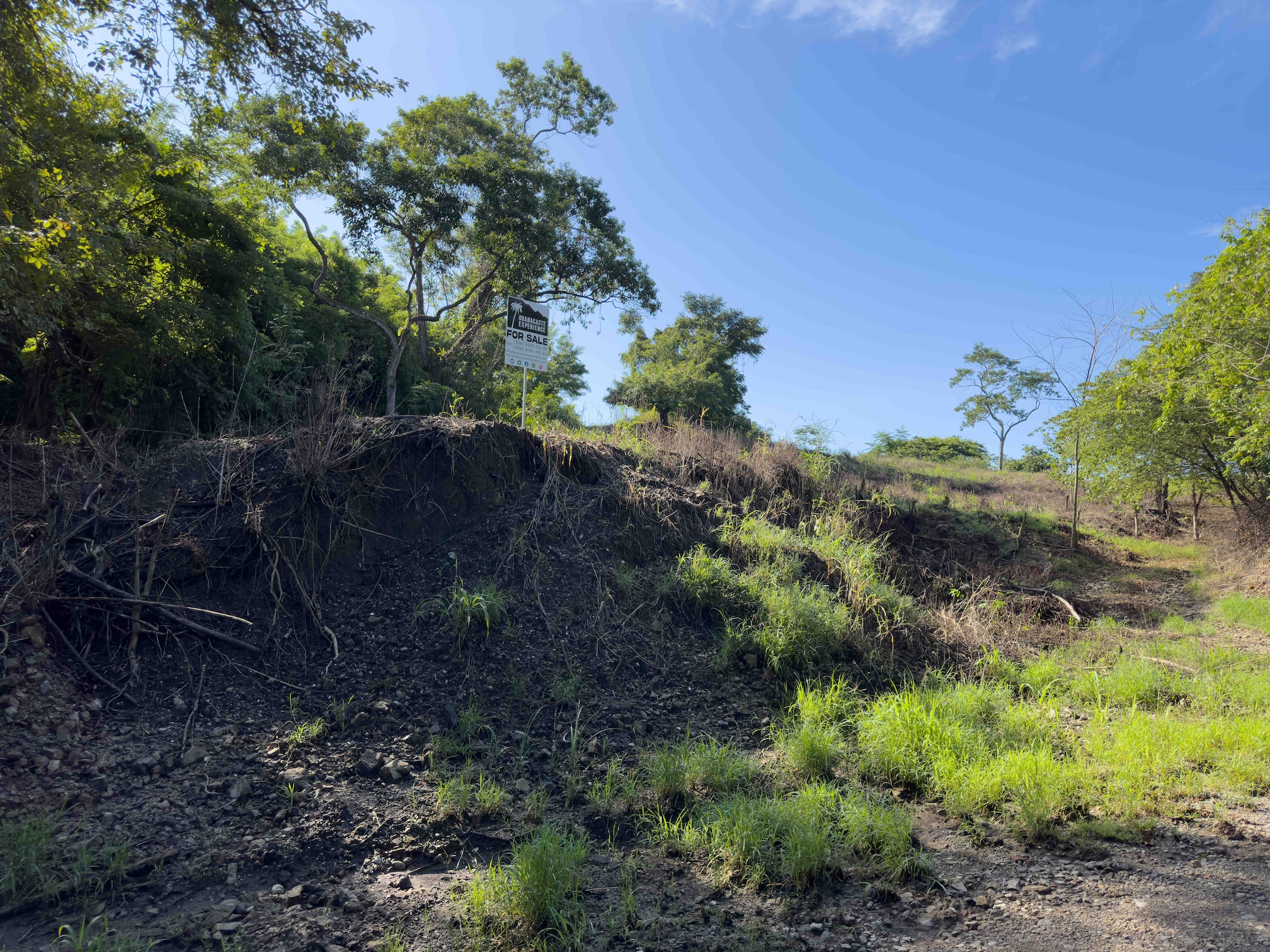 Sámara Woods Lot — 7