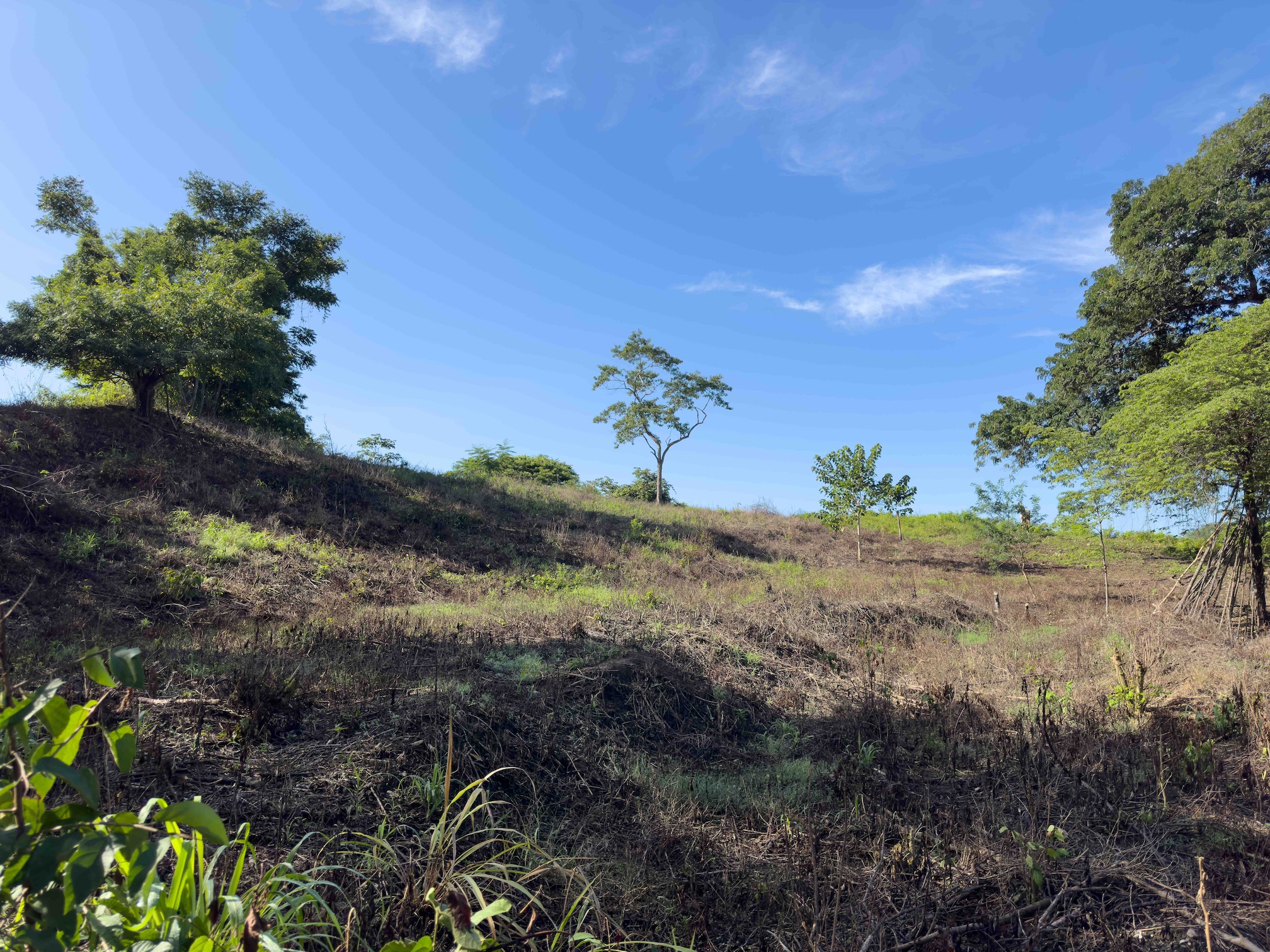 Sámara Woods Lot — 9