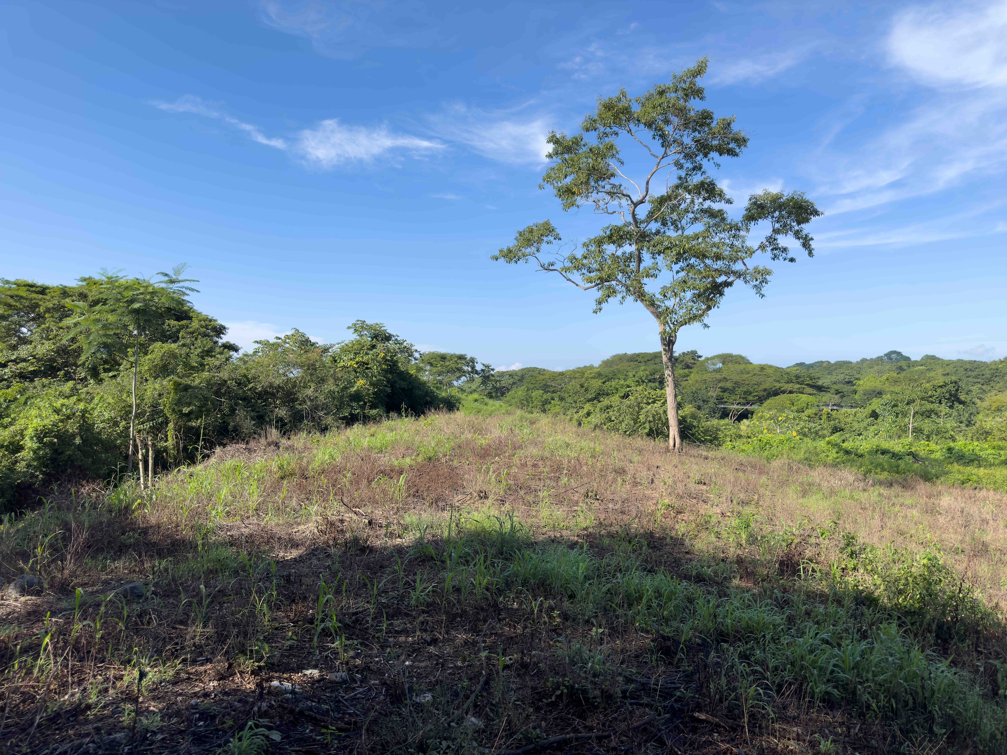 Sámara Woods Lot — 10